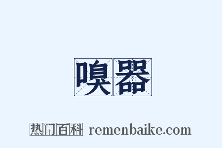 嗅器是什么意思的图片